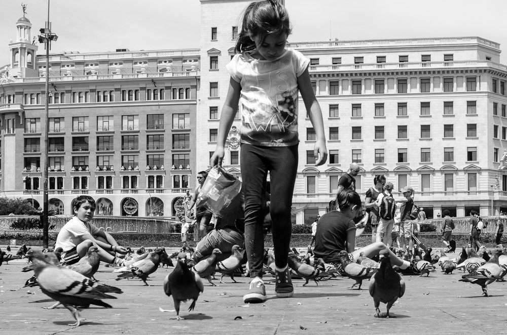 Barcelona: Tauben füttern am Plaça de Catalunya // synke-unterwegs.de