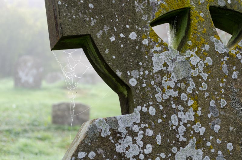 Grabstein mit Spinnennetz und Flechten auf dem Friedhof von Oaksey in den Cotswolds
