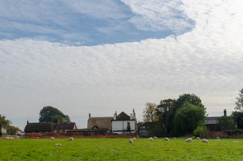 Blick auf den Ort Avebury mit Schafen im Vordergrund