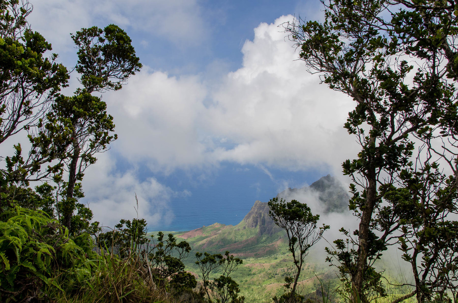 Kauai 10 interessante Fakten über die hawaiianische Insel