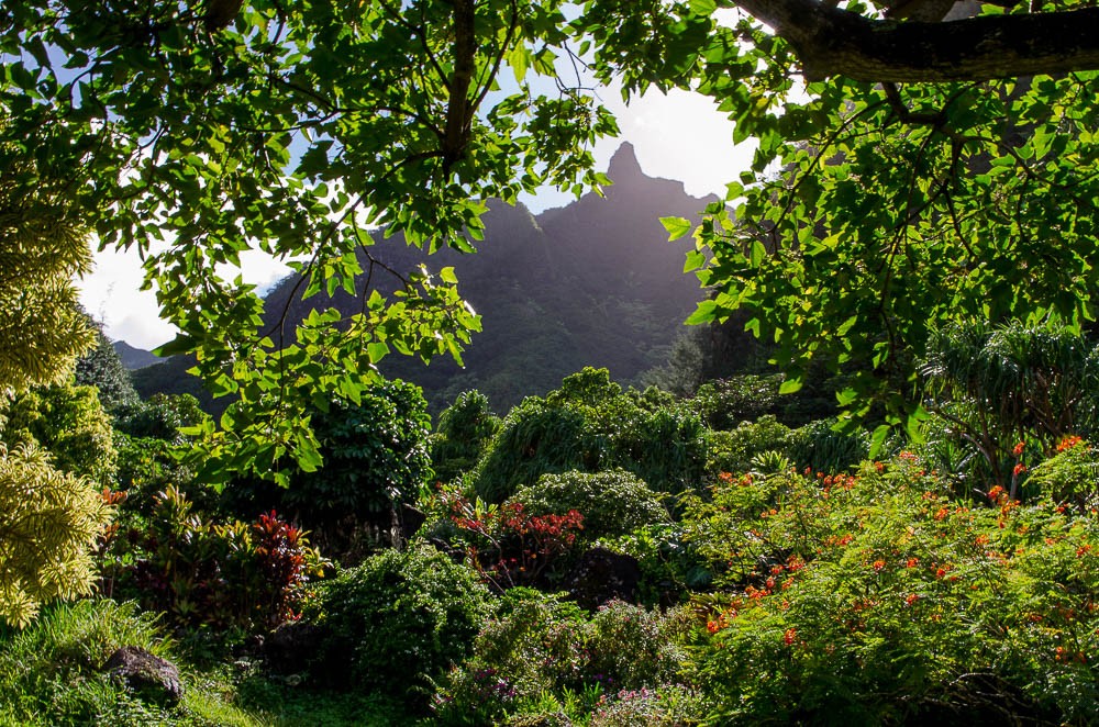 Garteninsel Kauai