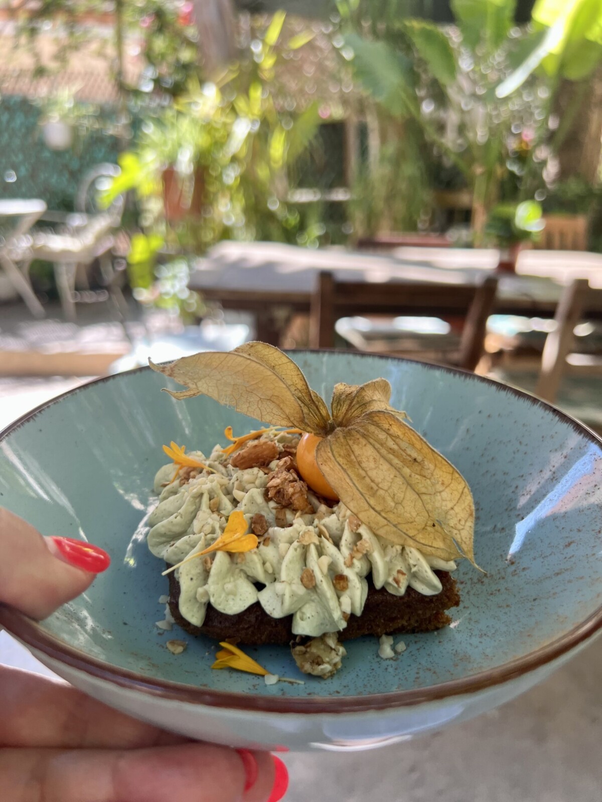 Vegan essen im Temple Natura Cafe in Palma de Mallorca