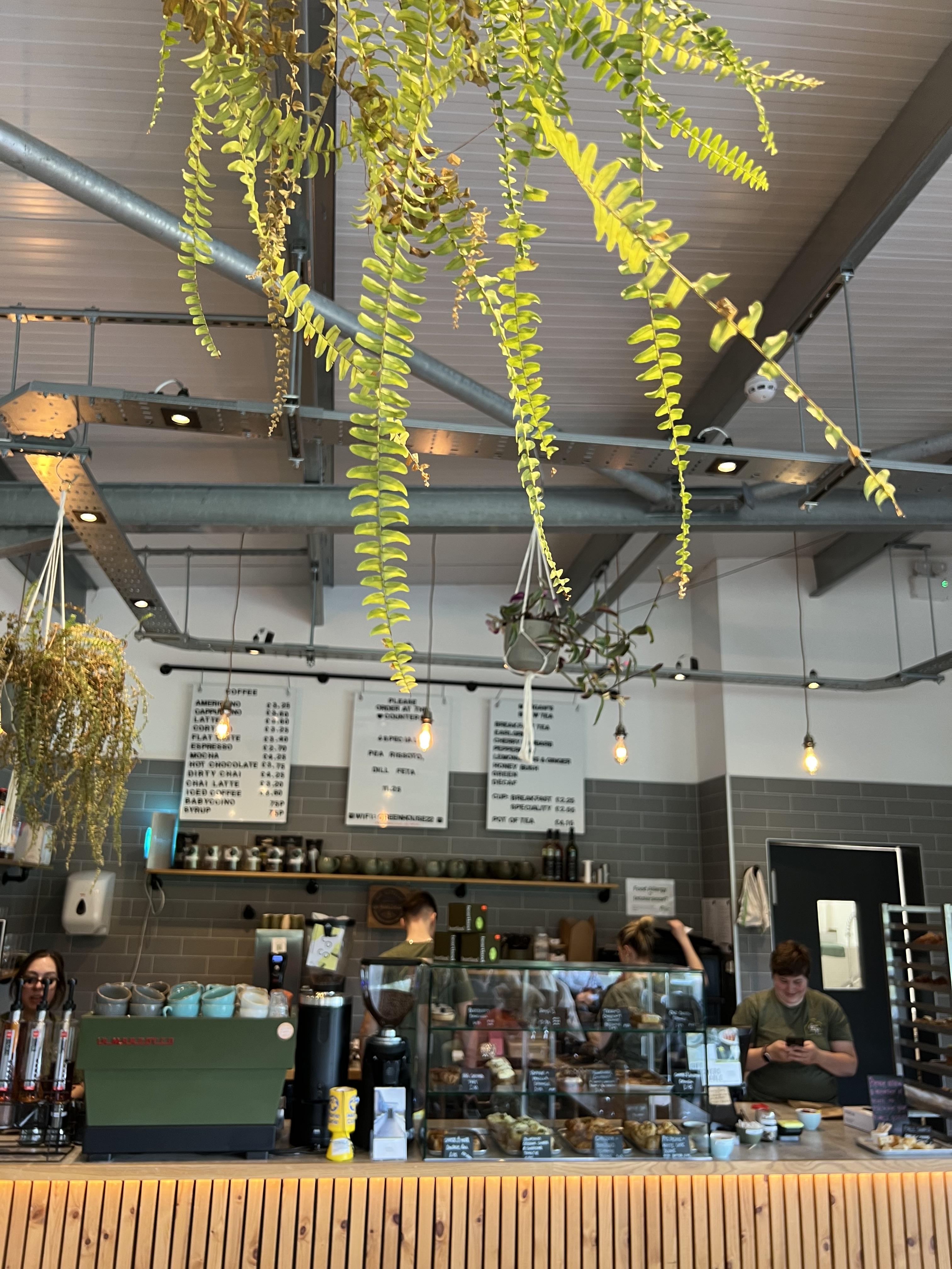 Greenhouse Cafe & Kitchen in Montgomary