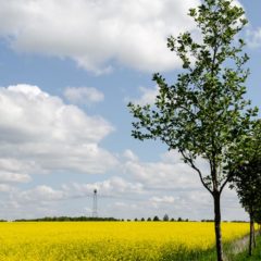 Ausflugsziele Brandenburg